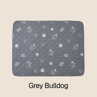 Grey Bulldog