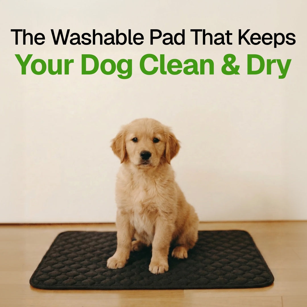 pup. travel comfort pad