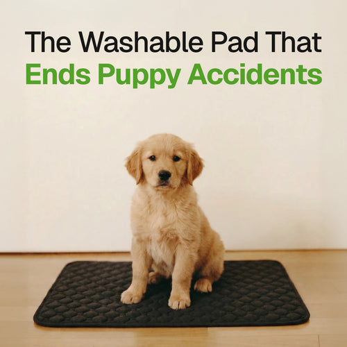 pup. comfort pad