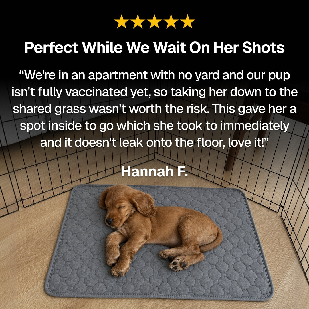 pup. travel comfort pad