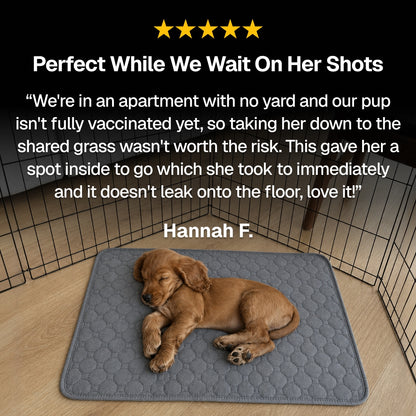 pup. travel comfort pad