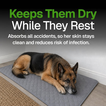 pup. travel comfort pad