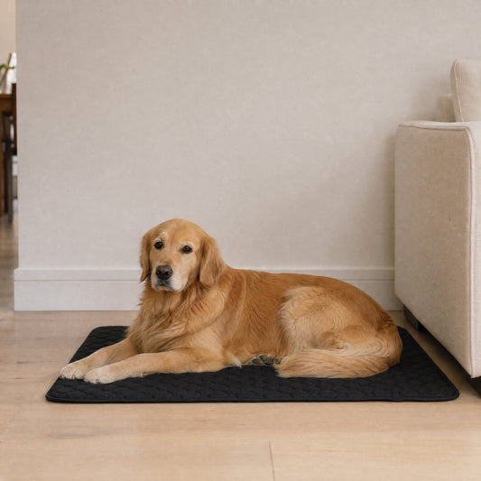 pup. travel comfort pad