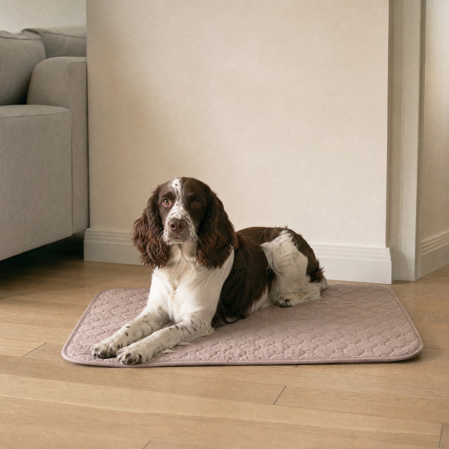 pup. comfort mat